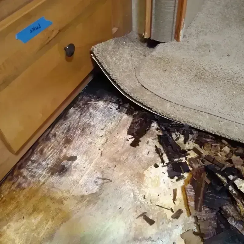 Best Wood Floor Water Damage Service in Watauga, TX